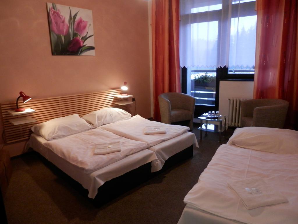 Pension Mona Harrachov Habitación foto