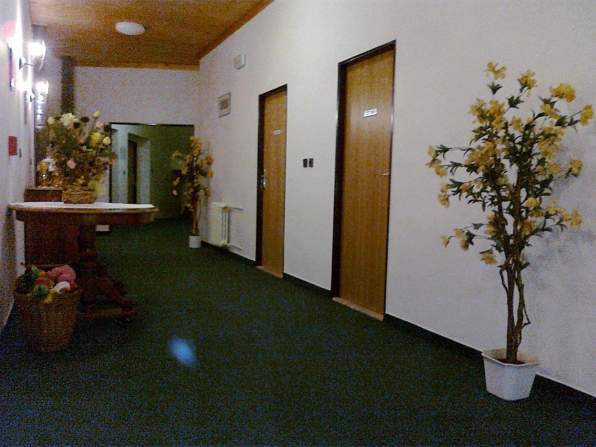 Pension Mona Harrachov Exterior foto